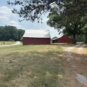 LAND PIC2