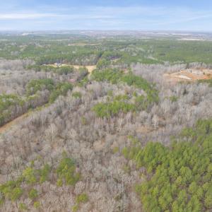 DJI_20260212110741_0030_D