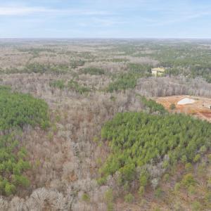 DJI_20260212110844_0033_D