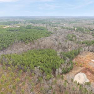DJI_20260212110917_0039_D