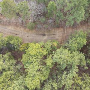 DJI_20260212111309_0078_D