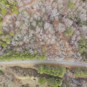 DJI_20260212111444_0095_D