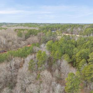 DJI_20260212111750_0132_D