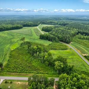 Photo #3 of Lot 6 Murray Loop, Whitakers, NC 1.3 acres