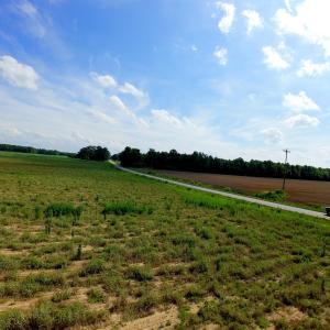 Photo #19 of 3 Bowden, Turkey, NC 11.0 acres