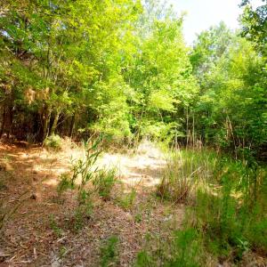Photo #33 of 3 Bowden, Turkey, NC 11.0 acres