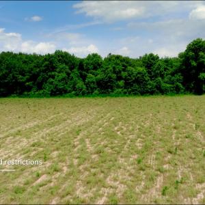 Photo #31 of 3 Bowden, Turkey, NC 11.0 acres