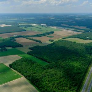 Photo #22 of 3 Bowden, Turkey, NC 11.0 acres