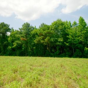 Photo #28 of 3 Bowden, Turkey, NC 11.0 acres
