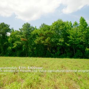 Photo #27 of 3 Bowden, Turkey, NC 11.0 acres