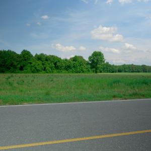Photo #30 of 3 Bowden, Turkey, NC 11.0 acres