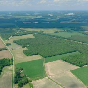 Photo #25 of 3 Bowden, Turkey, NC 11.0 acres