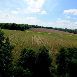 Photo #32 of 3 Bowden, Turkey, NC 11.0 acres