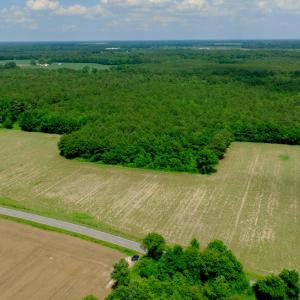 Photo #26 of 3 Bowden, Turkey, NC 11.0 acres