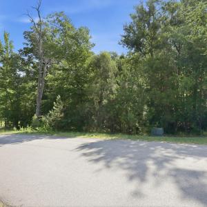 21-web-or-mls-IMG_0022