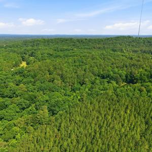 29-web-or-mls-Terrells Mountain