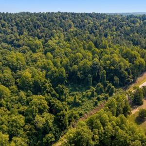 Photo #2 of 8438 Charlie Stovall, Oxford, NC 12.0 acres