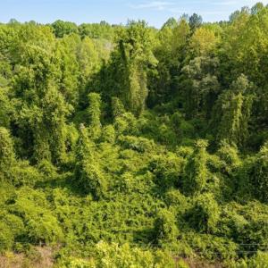 Photo #4 of 8438 Charlie Stovall, Oxford, NC 12.0 acres
