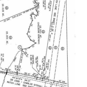 Photo #10 of 8438 Charlie Stovall, Oxford, NC 12.0 acres
