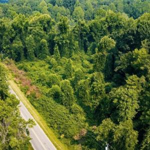 Photo #12 of 8438 Charlie Stovall, Oxford, NC 12.0 acres