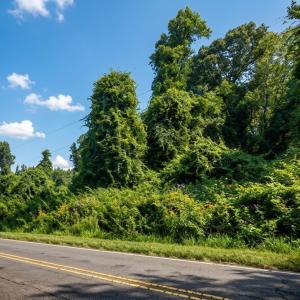 Photo #7 of 8438 Charlie Stovall, Oxford, NC 12.0 acres