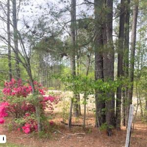 Photo #4 of 55 Weston Sky Ln, Fuquay Varina, NC 0.9 acres