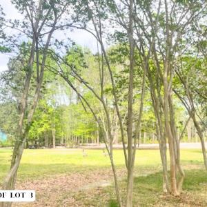 Photo #4 of 155 Weston Sky Ln, Fuquay Varina, NC 0.7 acres