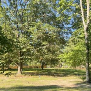 Photo #1 of 155 Weston Sky Ln, Fuquay Varina, NC 0.7 acres