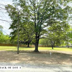 Photo #2 of 155 Weston Sky Ln, Fuquay Varina, NC 0.7 acres