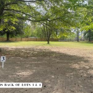 Photo #3 of 155 Weston Sky Ln, Fuquay Varina, NC 0.7 acres