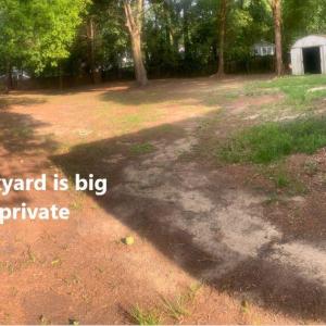 Backyard 2 w txt