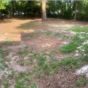 Backyard 3 w txt