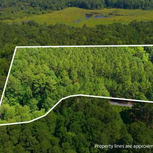 Photo #2 of Laurel Springs, Apex, NC 4.3 acres