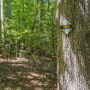 Durham Co. NC 10.09-Rogers-Lot1-08