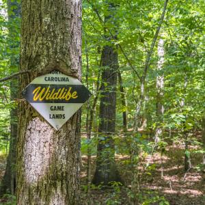 Durham Co. NC 10.09-Rogers-Lot1-20