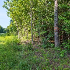 Durham Co. NC 10.09-Rogers-Lot1-33