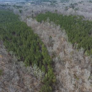 Durham Co. NC 10.09-Rogers-Lot1-37