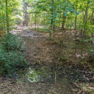Durham Co. NC 21.73-Rogers-Lot2-012