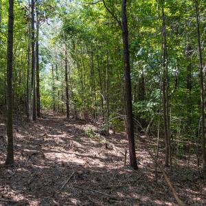 Durham Co. NC 21.73-Rogers-Lot2-033