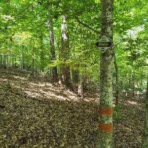 Durham Co. NC 21.73-Rogers-Lot2-038