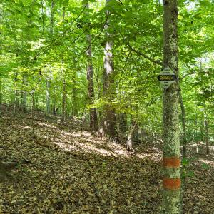 Durham Co. NC 32.68-Rogers-Lot3-005