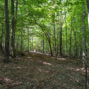 Durham Co. NC 32.68-Rogers-Lot3-019