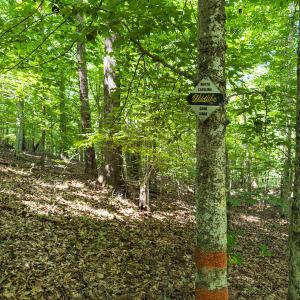 Durham Co. NC 32.68-Rogers-Lot3-020