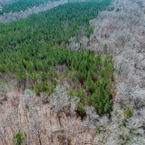 Durham Co. NC 32.68-Rogers-Lot3-026