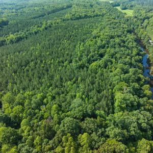 Durham Co. NC 32.68-Rogers-Lot3-027