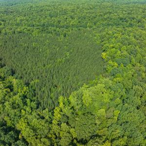 Durham Co. NC 32.68-Rogers-Lot3-035