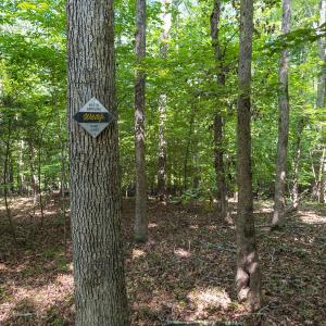 Durham Co. NC 32.68-Rogers-Lot3-039