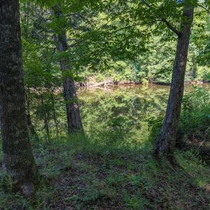 Durham Co. NC 32.68-Rogers-Lot3-041