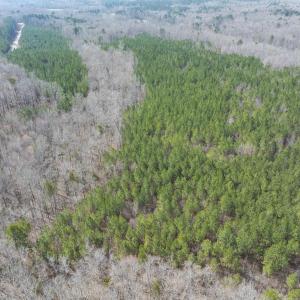 Durham Co. NC 32.68-Rogers-Lot3-044