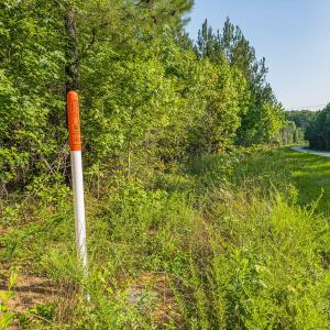 Durham Co. NC 54.42-Rogers-Lot4-010